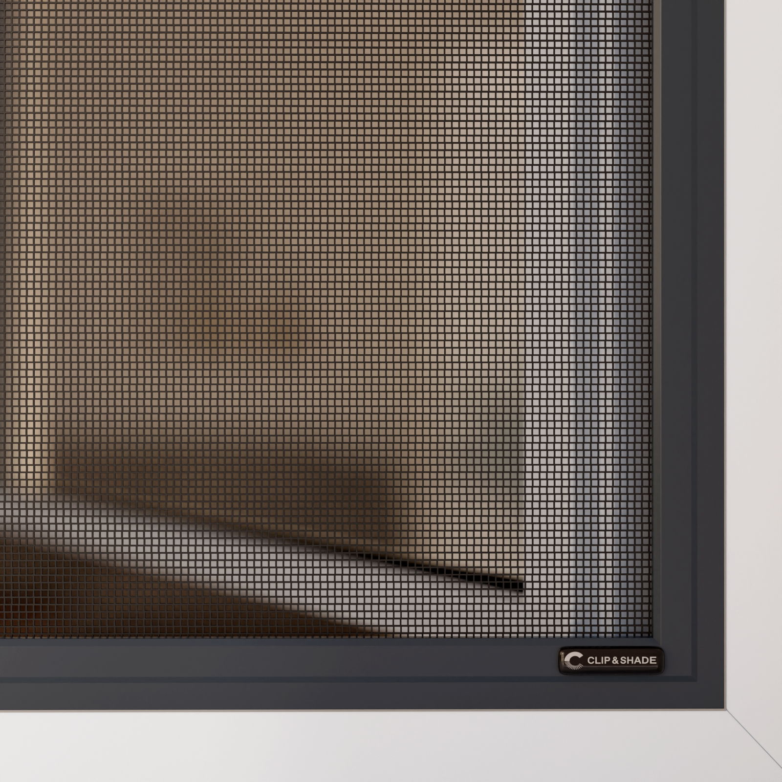 ClipnShade GmbH image